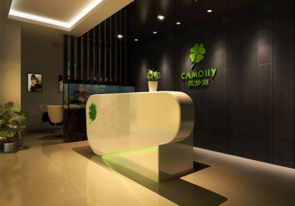 碧江上海辦公家具前臺接待區(qū)設(shè)計(jì)——凱夢麗