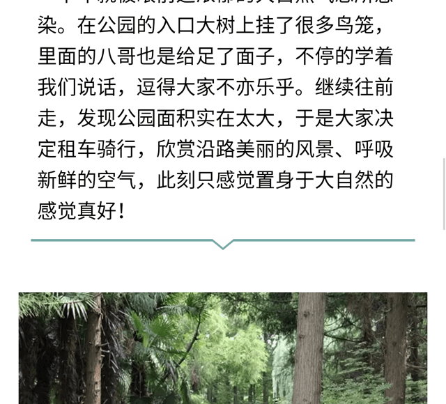 碧江員工崇明一日游 碧江員工崇明島一日游