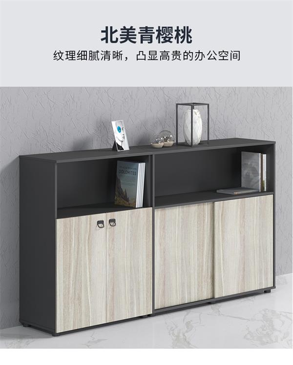 辦公室落地儲物小柜落地中柜矮公司檔案資料收納文件柜