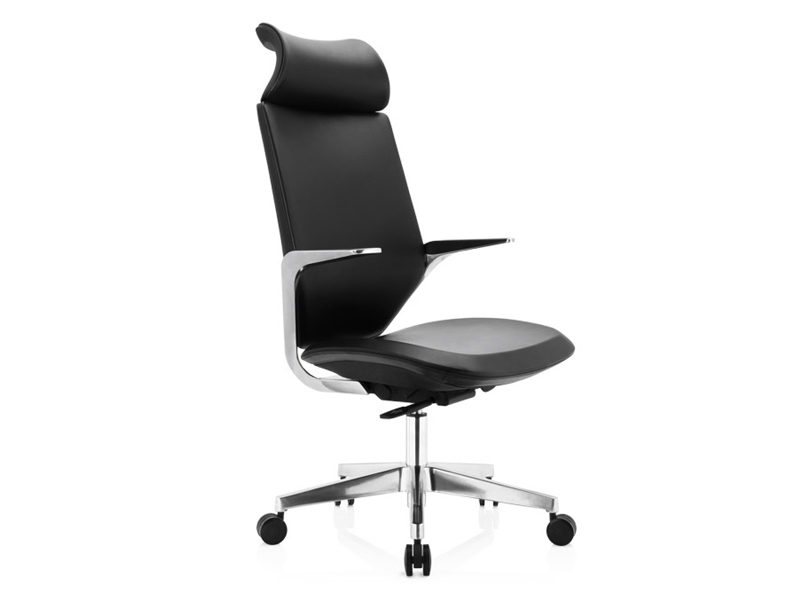 人體工學(xué)椅F1系列 人體工學(xué)椅F1系列